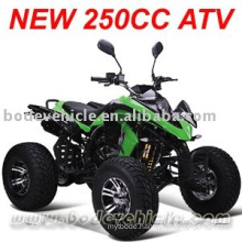 250cc Quad bike with automatic and water-cooling